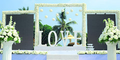 昆山婚礼策划 气球婚礼策划产品图片高清大图- 图片库